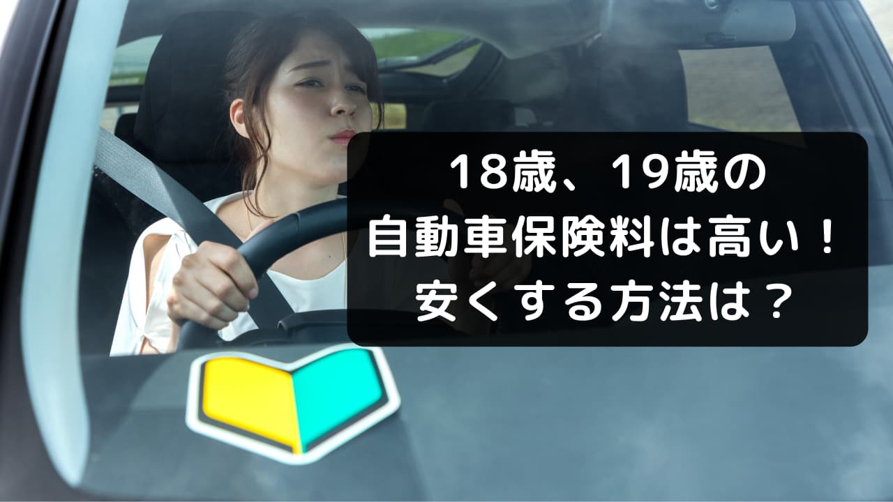 プロが選ぶ自動車保険 - 失敗しないためのポイントと選び方ガイド